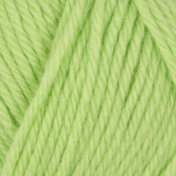 Eco Highland Wool Ljusgrön 231